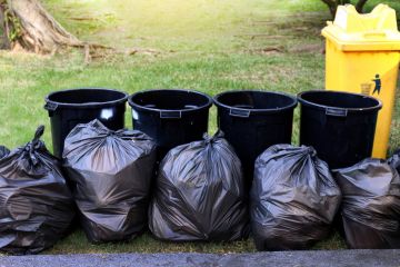 Yard Waste Removal in Playa del Rey