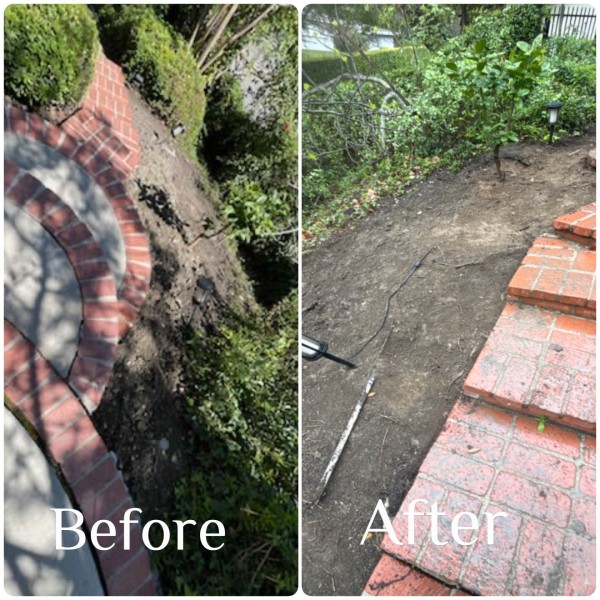 Before and After Yard Waste Removal in Sherwood Forest, CA (1)