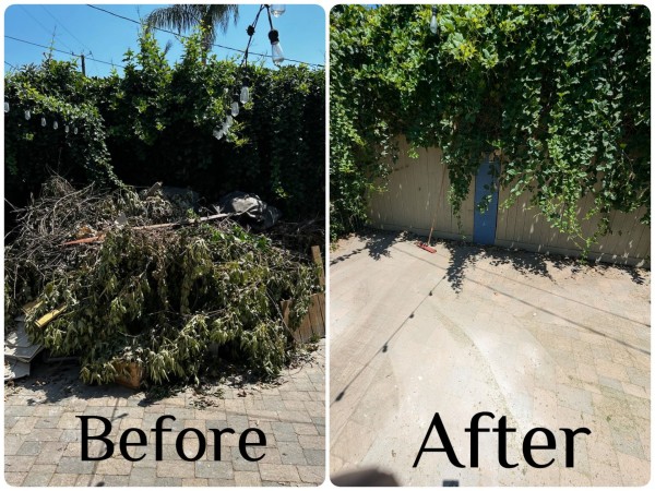 Yard Waste Removal